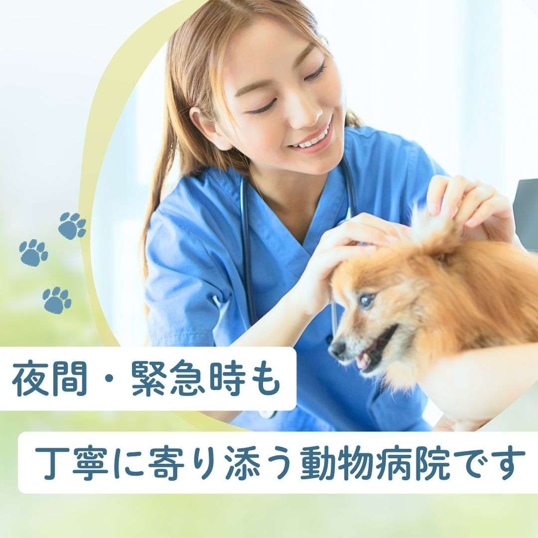 popup_banner