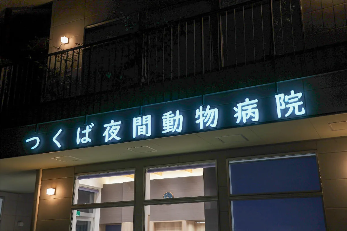 つくば夜間動物病院