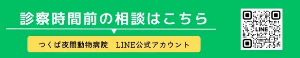 つくば夜間動物病院 LINE公式アカウント