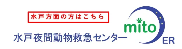 水戸夜間動物救急センター