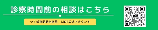 LINE公式アカウント