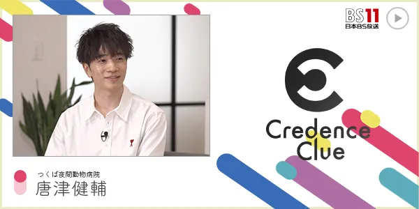 Credence Clue