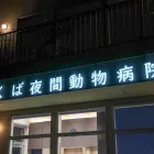 つくば夜間動物病院